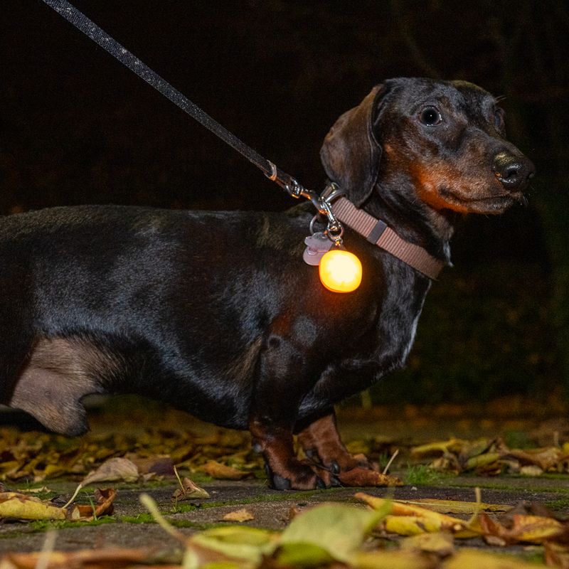 TIAKI Northern lights Illuminated Pendant Orange