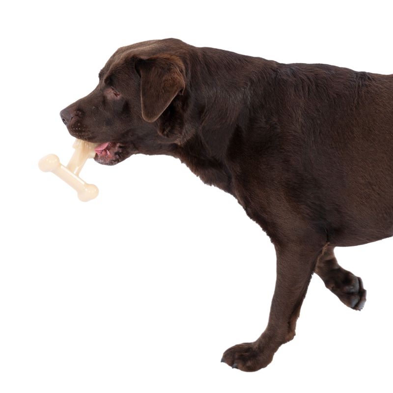 TIAKI T-Shaped Peanut Butter Flavour Chew Toy 14.4 x 12 x 5 cm (L x W x H)