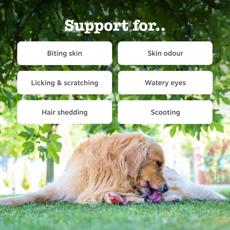 Zesty Paws Omega Skin & Coat Salmon 90 Chews