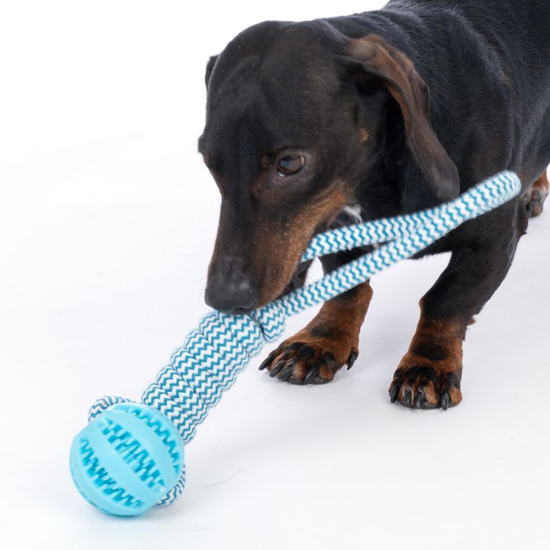 TIAKI Rope with TPR Ball 1 Toy