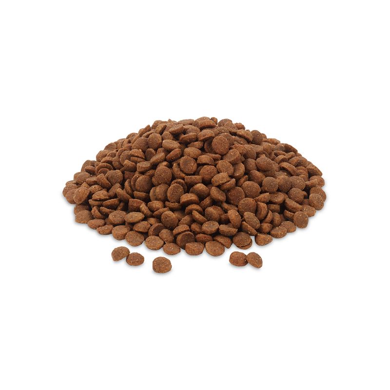 Feringa Senior Chicken 400g