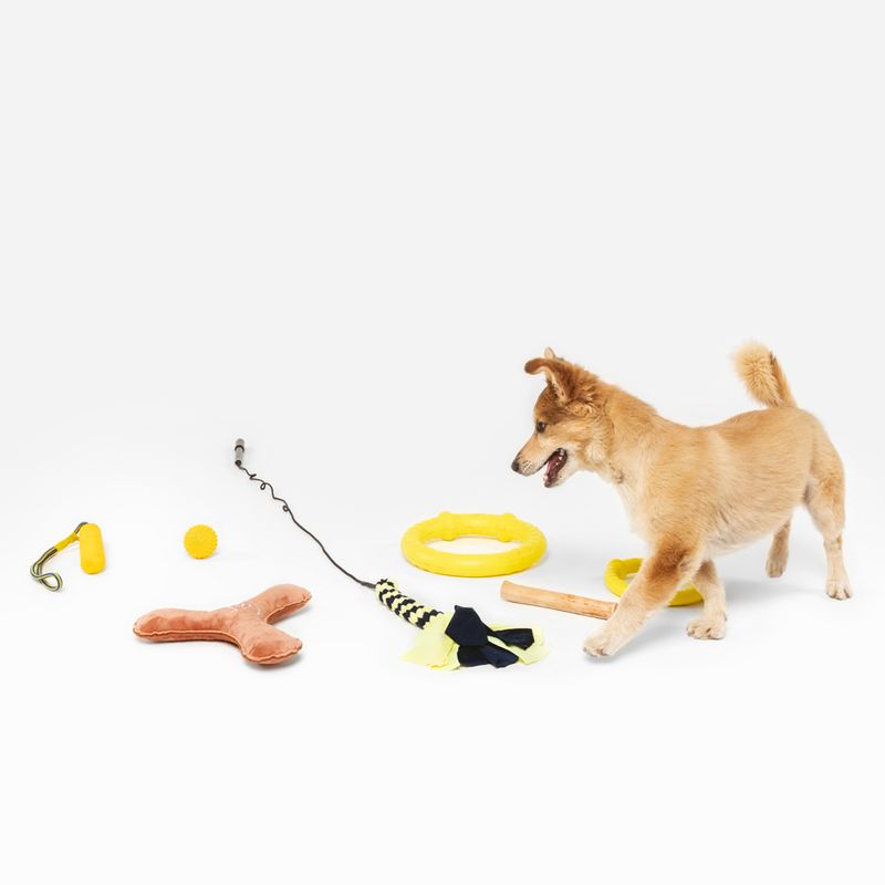 Nomad Tales Bloom EVA Stick with Rope 1 Toy