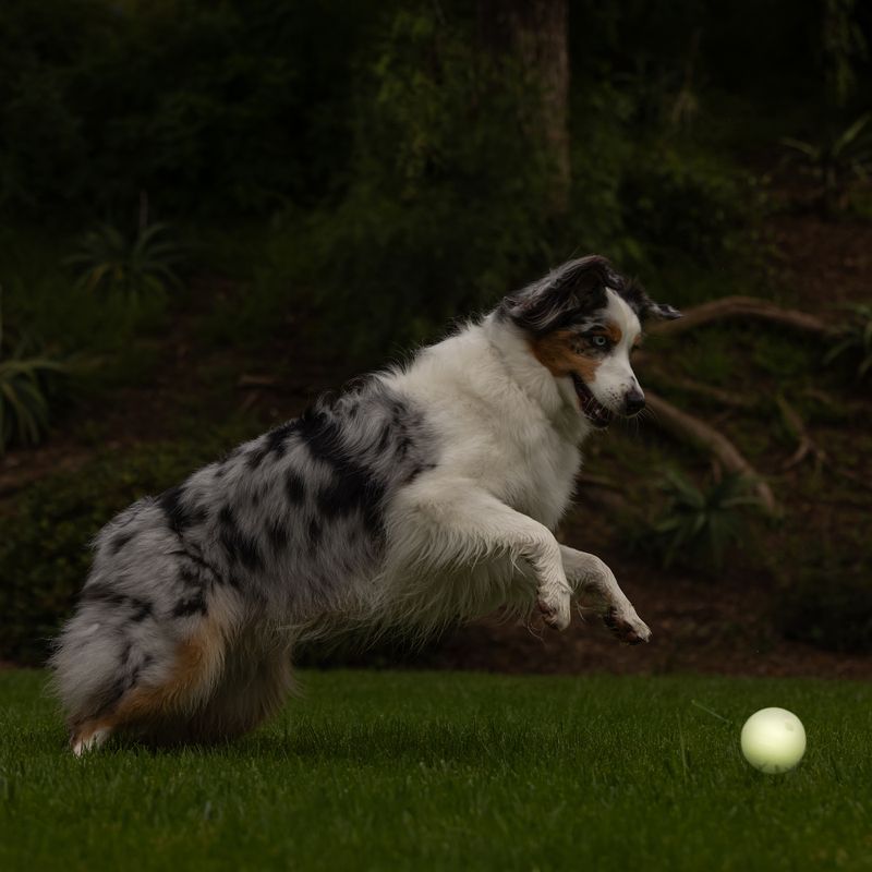 Chuckit! Max Glow Ball Size M: diameter 6.5cm