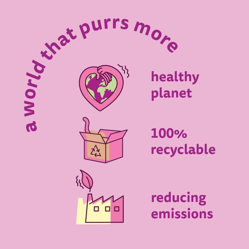 Whiskas Senior Pouches 12 x 85g 11+ Poultry Selection in Jelly