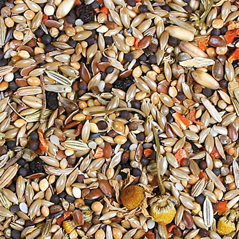 JR Birds Individual Canary Food 1kg