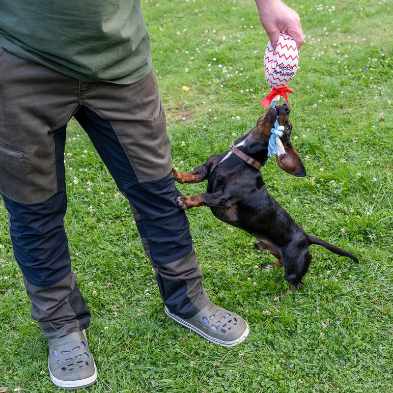 TIAKI Birthday Balloon Dog Toy diameter 9 x (L) 30 cm