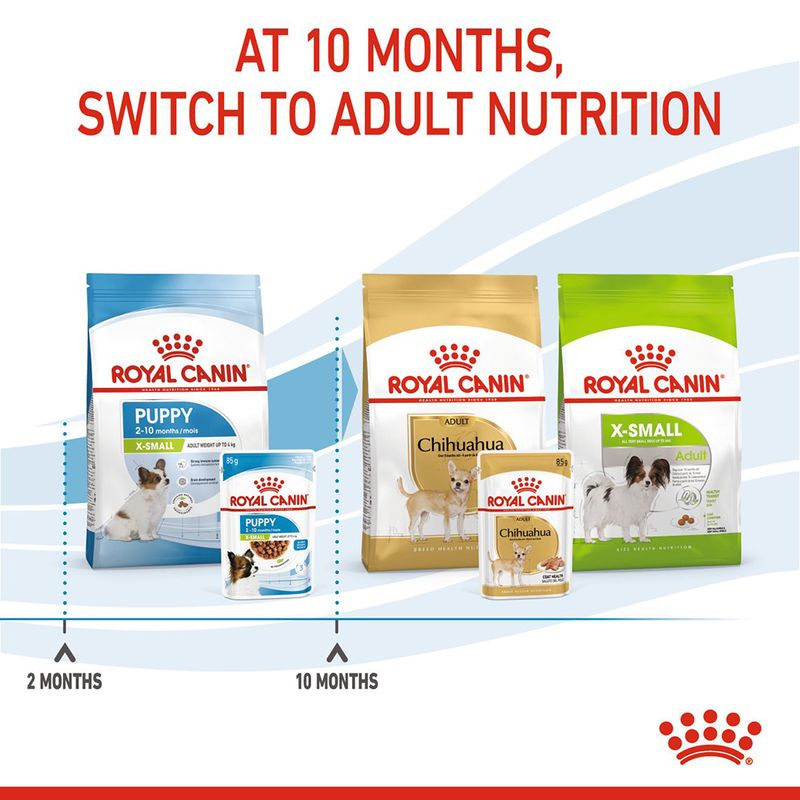 Royal Canin X-Small Puppy in Gravy 12 x 85g