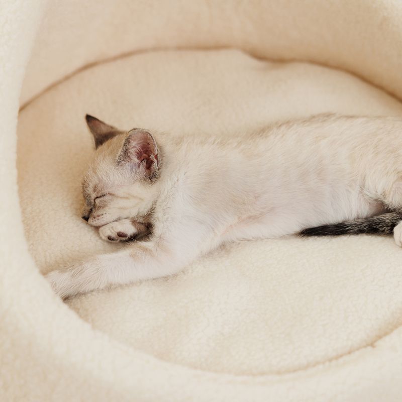 Modern Living Pisa Cat Bed 60 x 34cm (Diameter x Height)