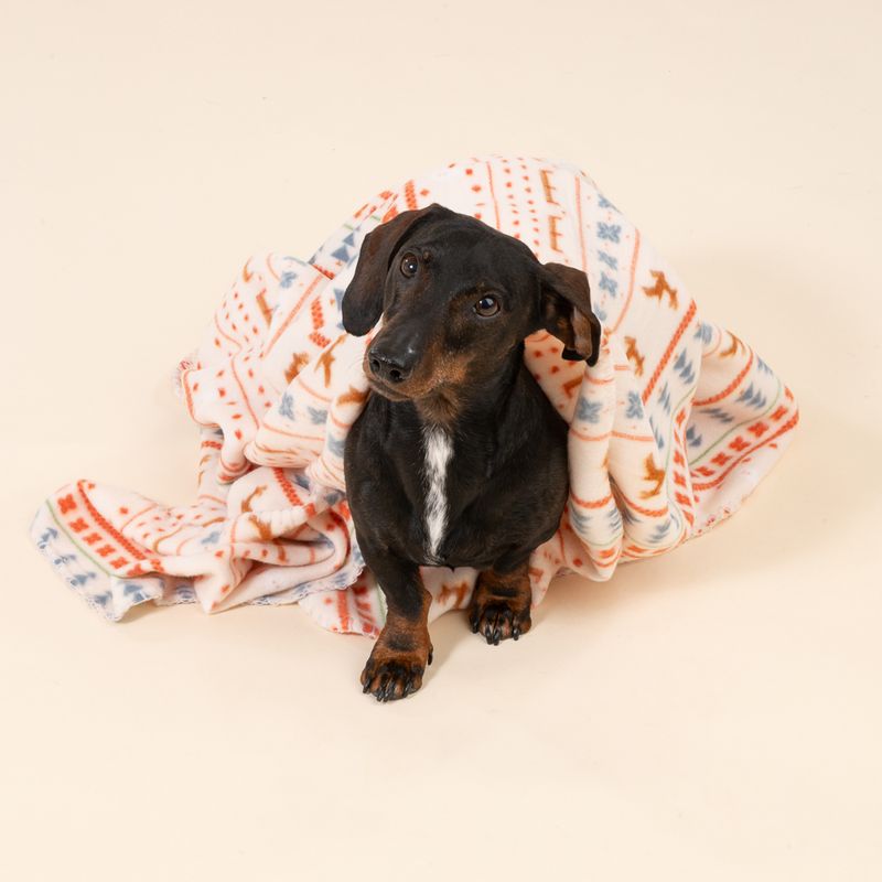 TIAKI Cosy Blanket with Nordic Winter Pattern Size S: 100 x 70 cm (L x W)