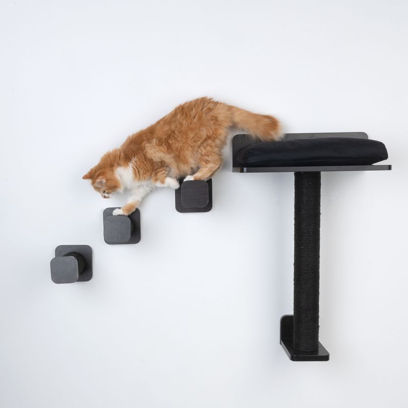 Modern Living Starter Set San Francisco Black (4-Part Set)