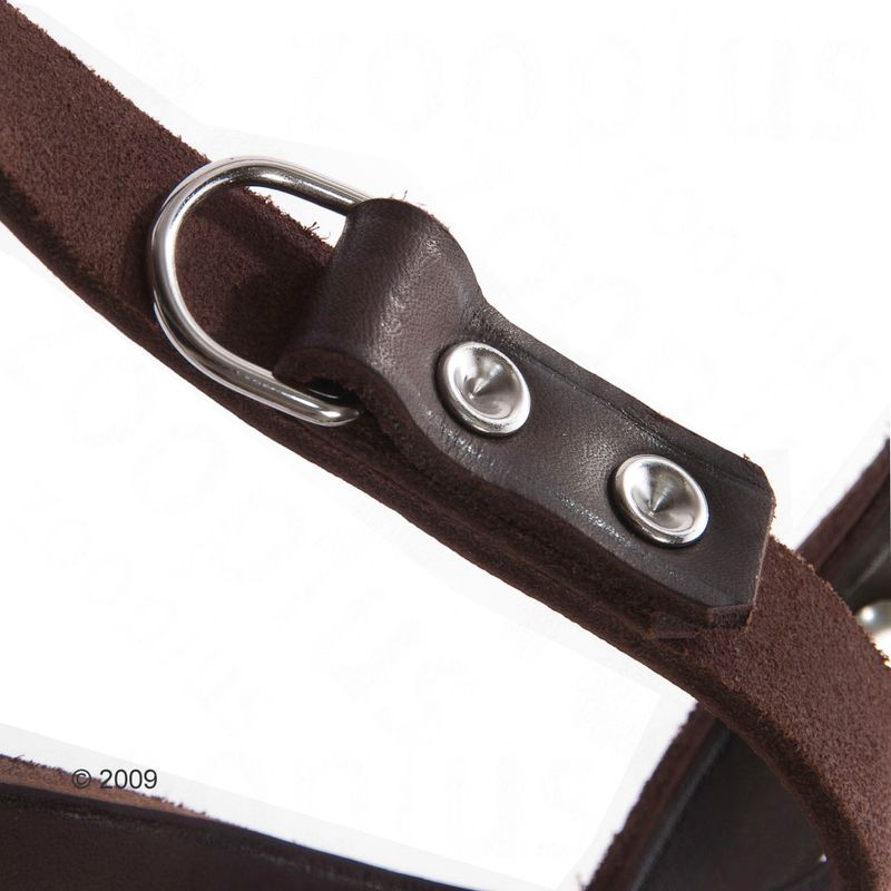 Heim Riveted Dog Lead - Brown 240cm