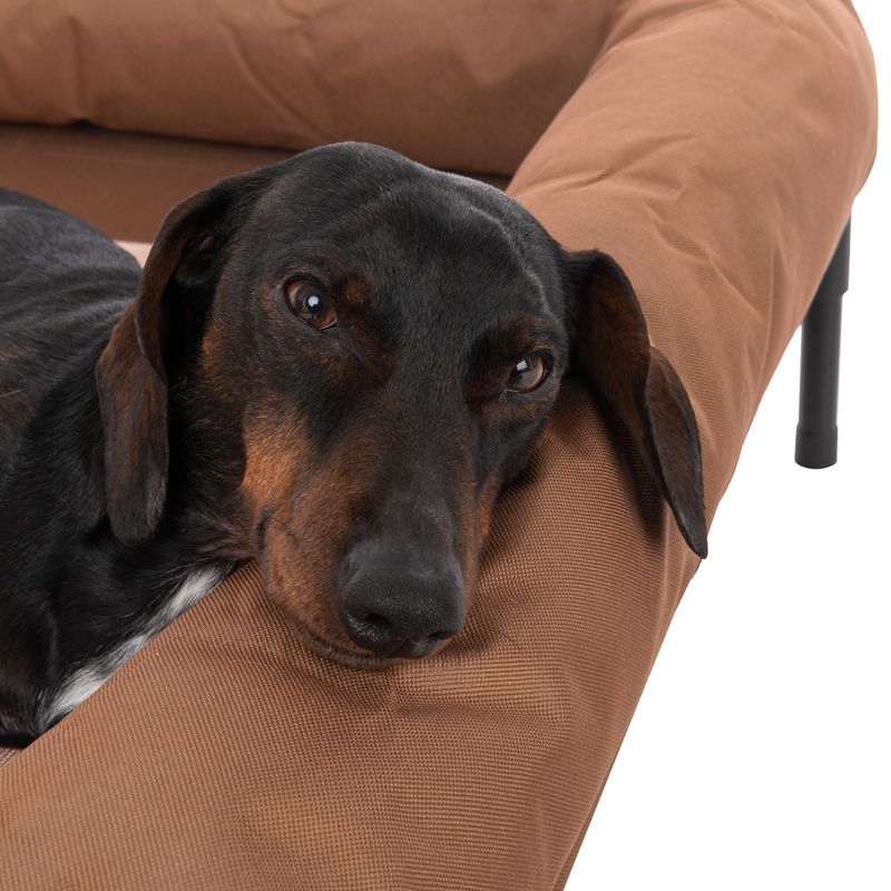 TIAKI dog sofa Sun Cream Size L: L 91 x W x H 76 x 18 cm