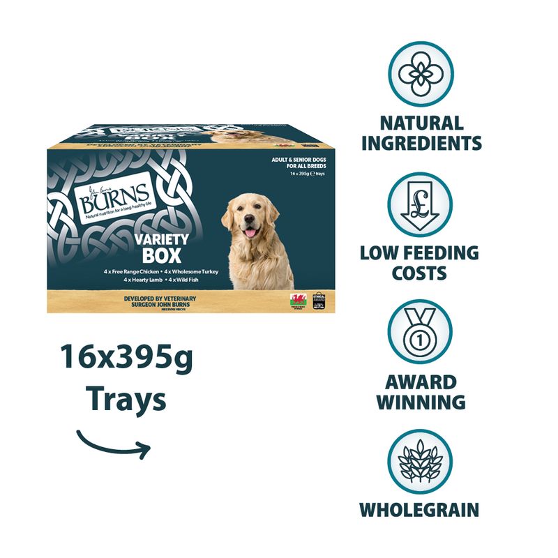 Burns Wet Food for Dogs 16 x 395g Chicken