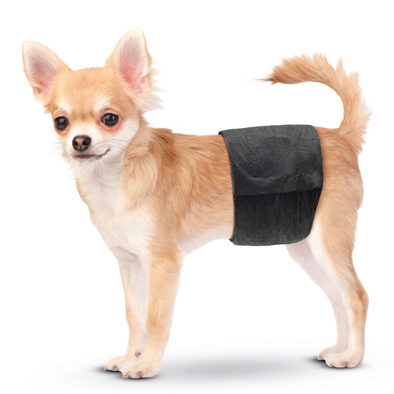 Savic Nappies for Male Dogs Size XS: 20-26cm - 12 nappies