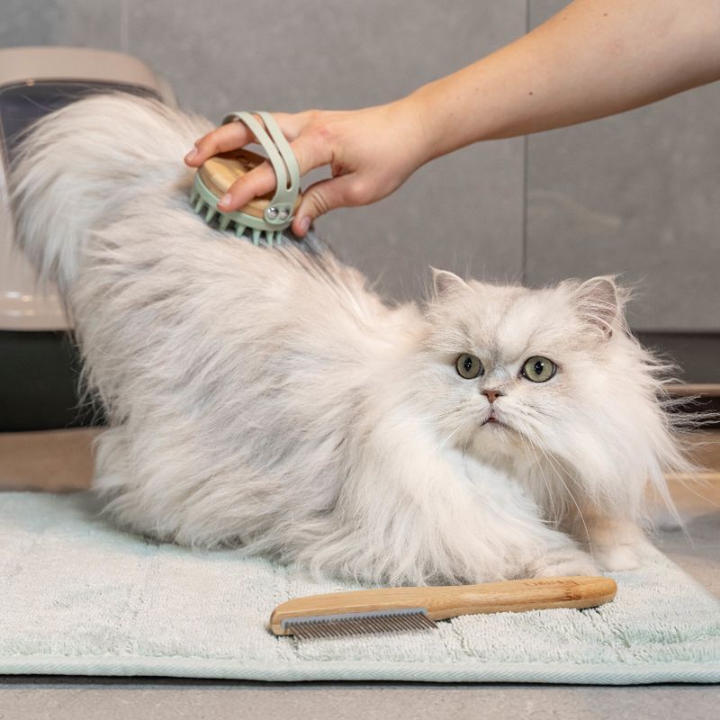 kooa Massage Brush for Cats 7 x 4cm (Diameter x H)