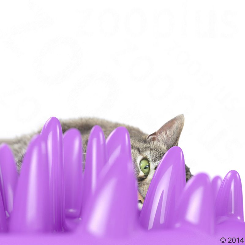 NORTHMATE ® Catch Cat Feeder 1 Bowl