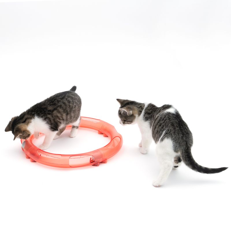 TIAKI Roundabout Ball Track for Cats 1 Toy
