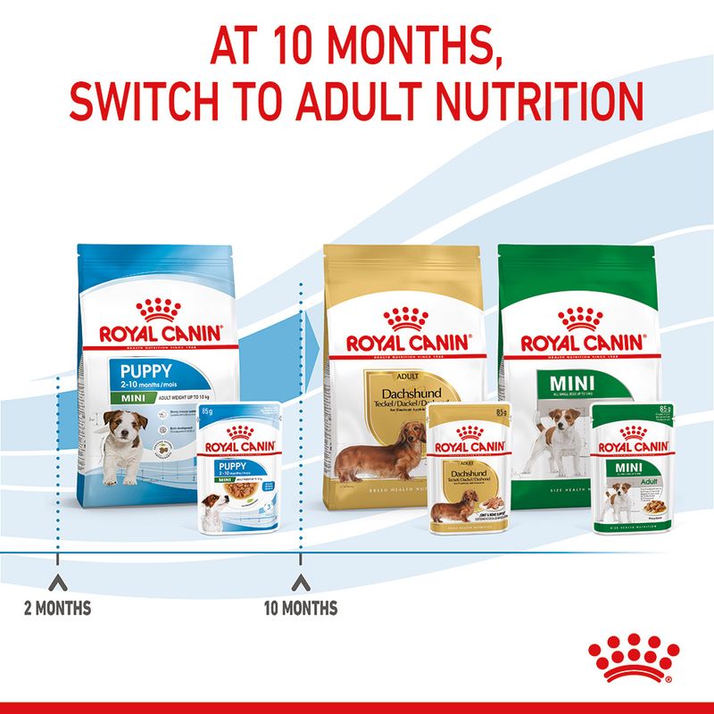 Royal Canin Mini Puppy in Gravy 12 x 85g