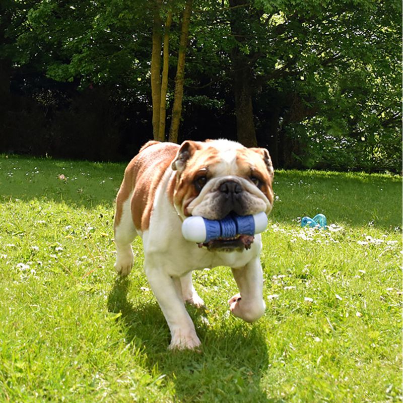 Bobby Dog Toy Cubitus Green: 14.5 x 6.9 x 4.3cm (L x W x H)