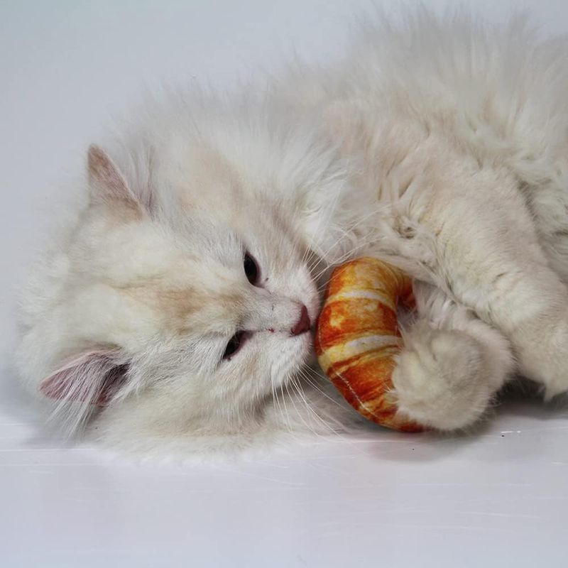 Croci Bakery Street Croissant with Catnip 1 toy