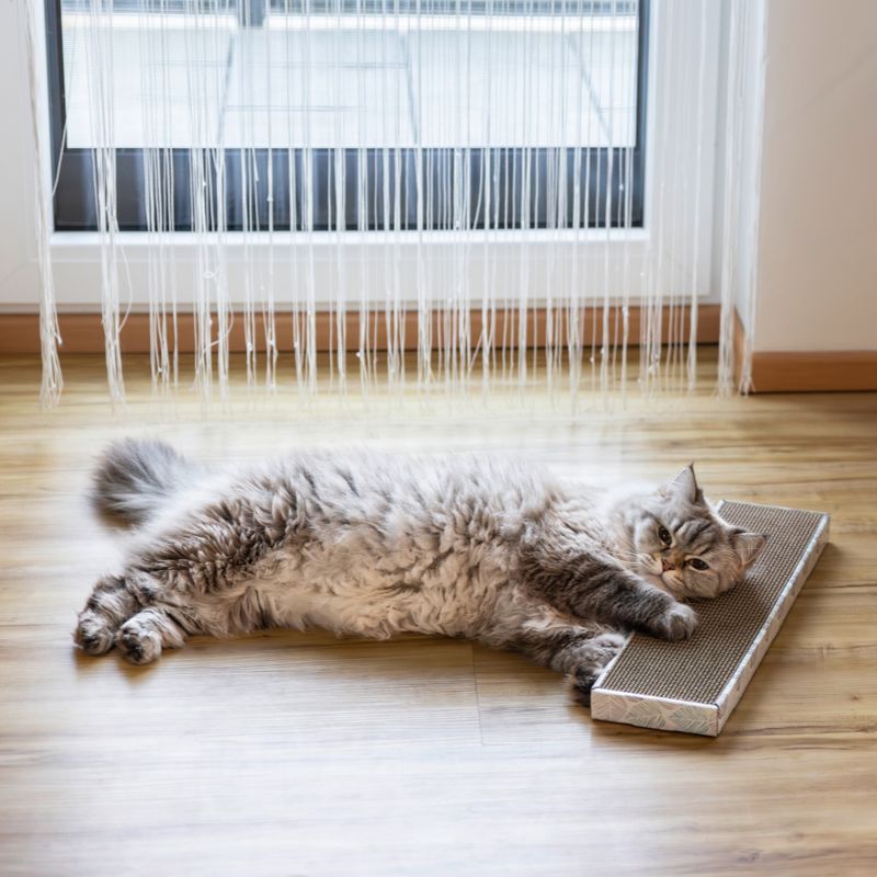 Kerbl Pet Cat Scratching Board Flat Pastel