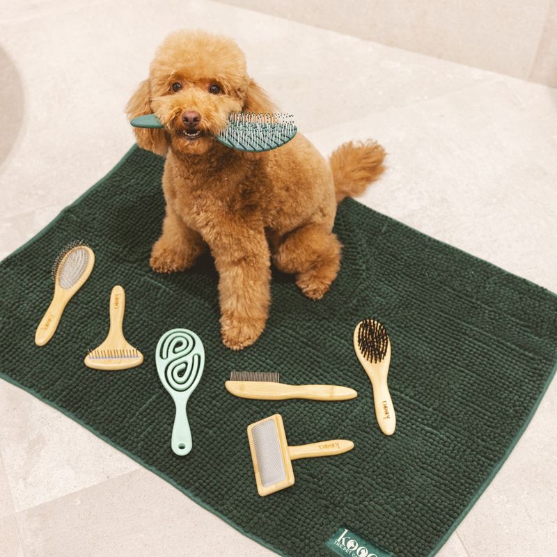 kooa Bathing Brush for Dogs 1 Brush