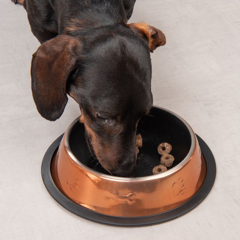 Modern Living Maipu Food Bowl 200ml (15.5cm diameter)