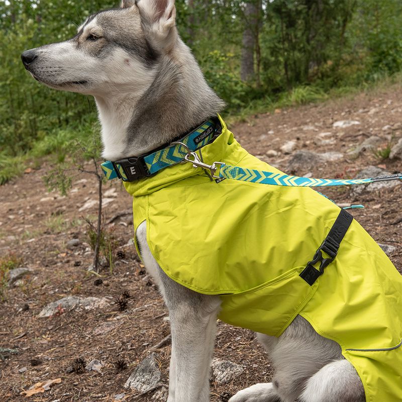 Icepeak Pet® Live Soft Collar - Aqua Size L: 50 - 60cm x 30mm (Neck Circumference x W)