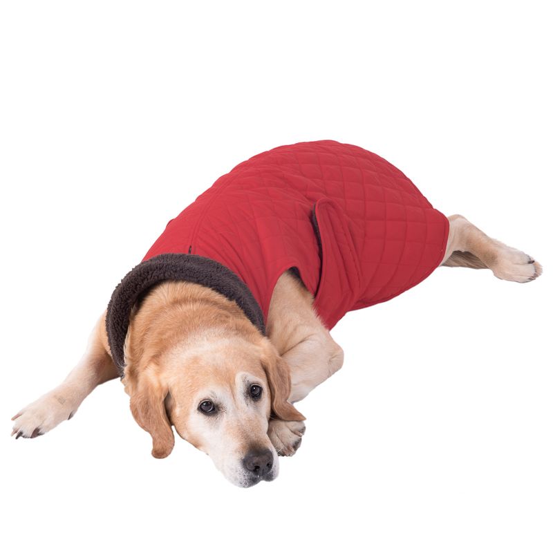 Quilted Dog Coat approx. 30cm Back Length