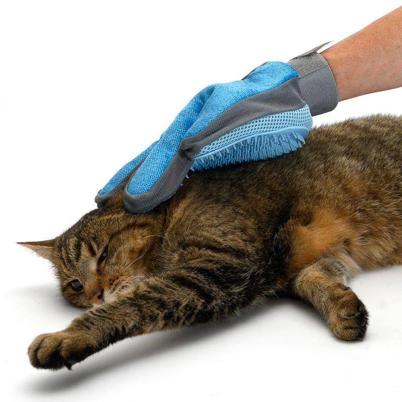 Grooming Glove 1 Glove