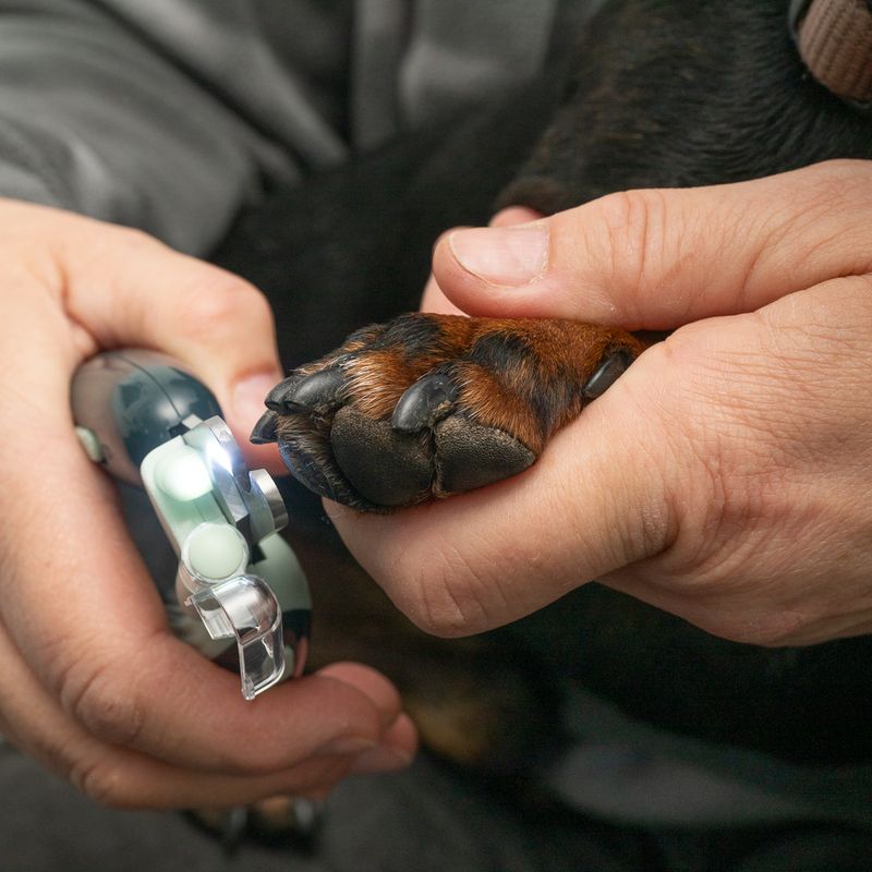 kooa Claw Clippers with LED 13 x 5 x 2 cm (L x W x H)