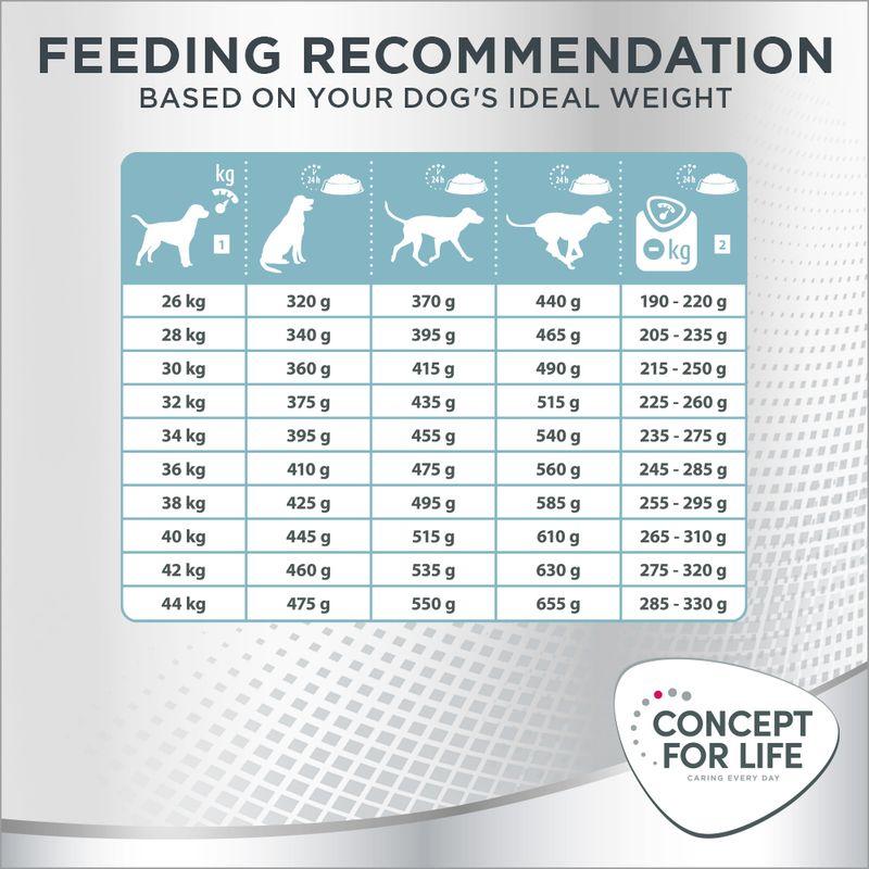 Concept for Life Large Light 12kg