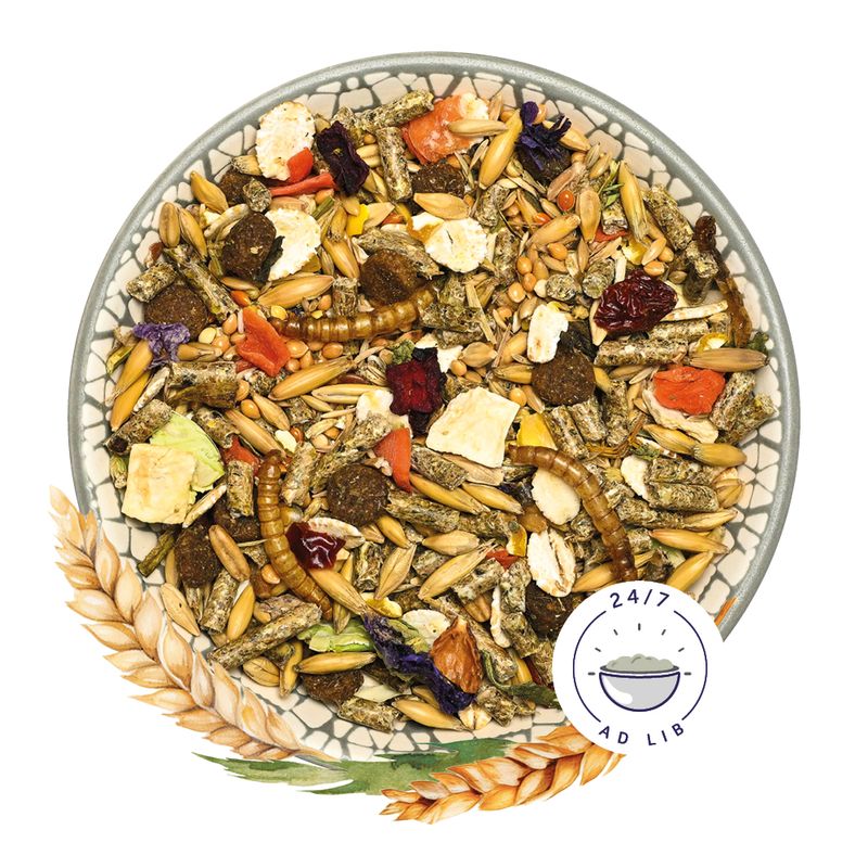 Bunny HamsterDream BASIC 600g