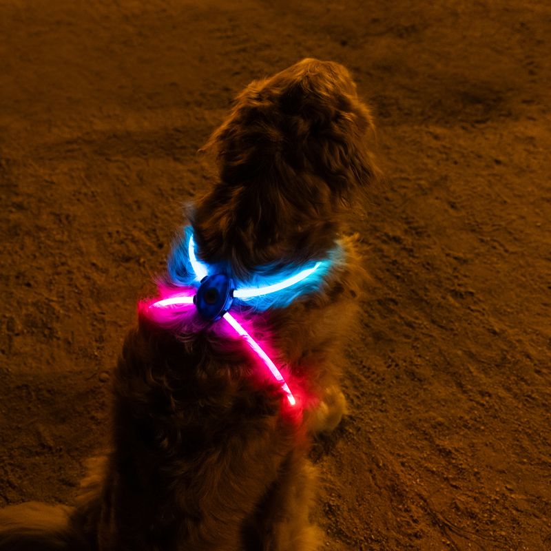 Nomad Tales Spirit USB LED Harness One Size: 90cm (max. Chest Circumference)