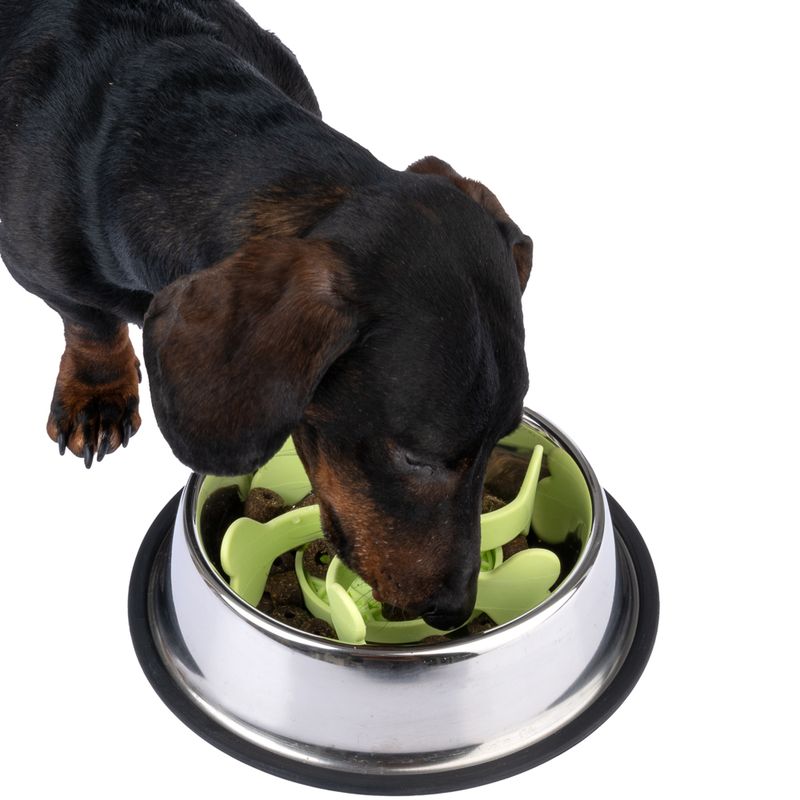 TIAKI Molino Slow Feeder Accessory diameter 17.6 x (H) 5.2 cm