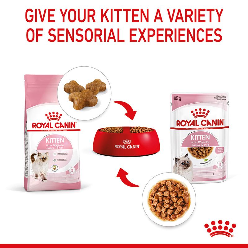 Royal Canin Kitten in Gravy 12 x 85g