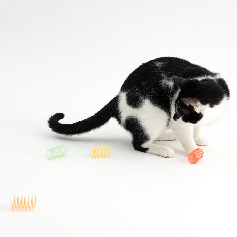 TIAKI Spiral Set Set of 4