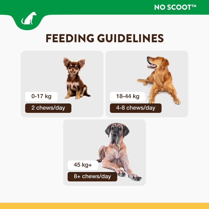 NaturVet No Scoot 60 Chew Cubes