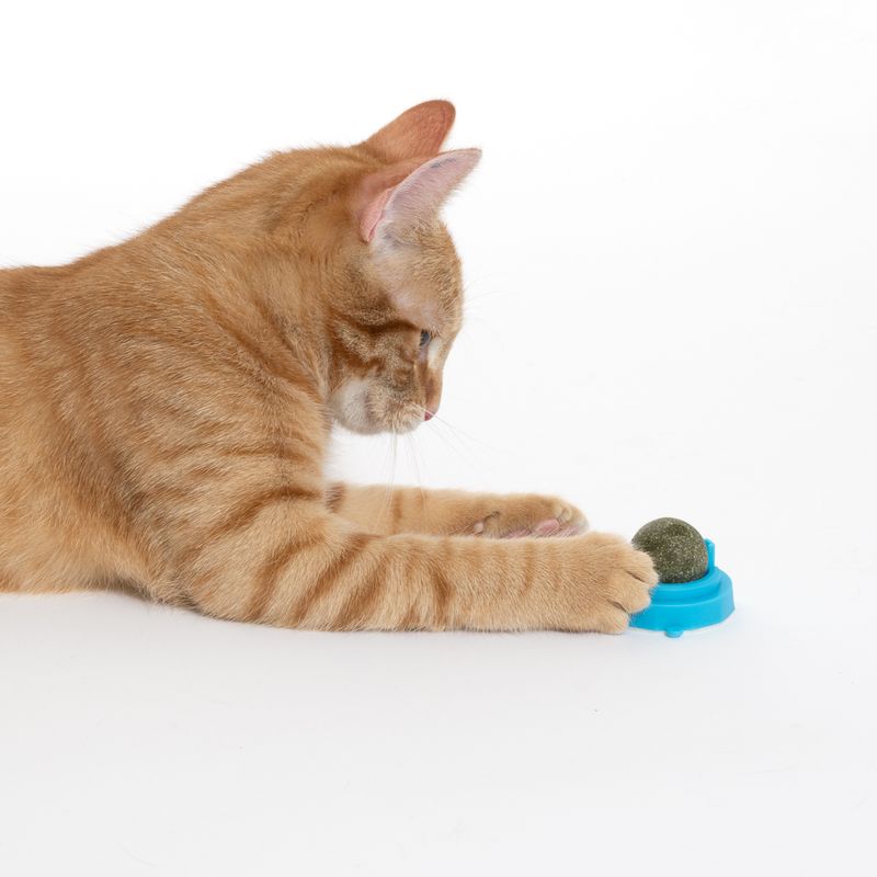 zooplus Basics Catnip Ball Blue