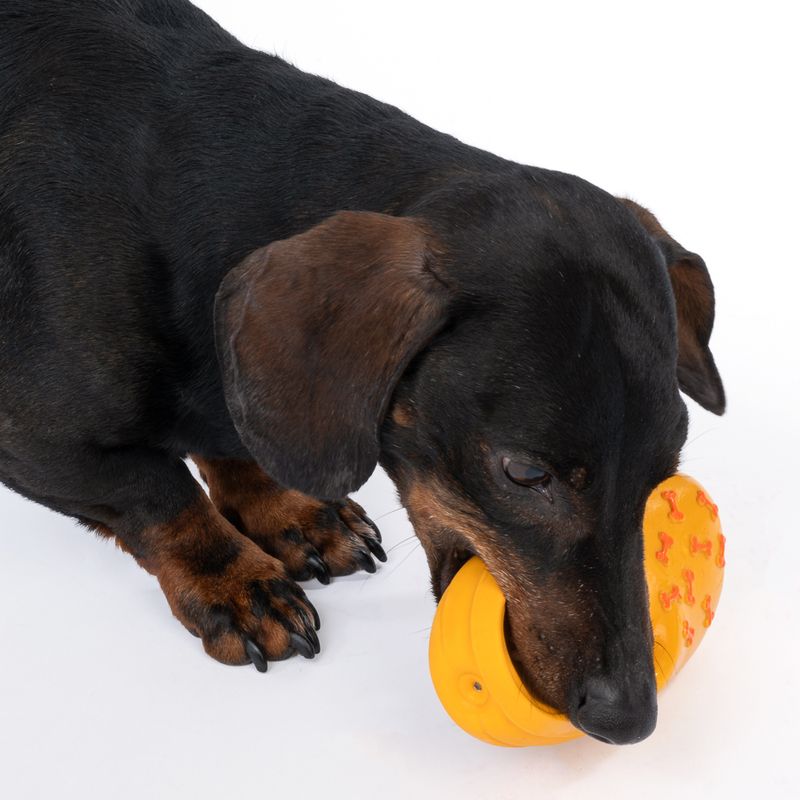 TIAKI Shoe Latex Dog Toy 15 x 6.5 x 6.5 cm (L x W x H)