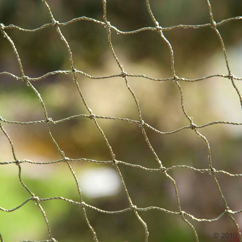 Cat safety net in rolls transparent