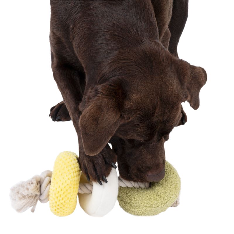 Modern Living Dalian Dog Toy with Rope 12 x 33cm (diameter x L)