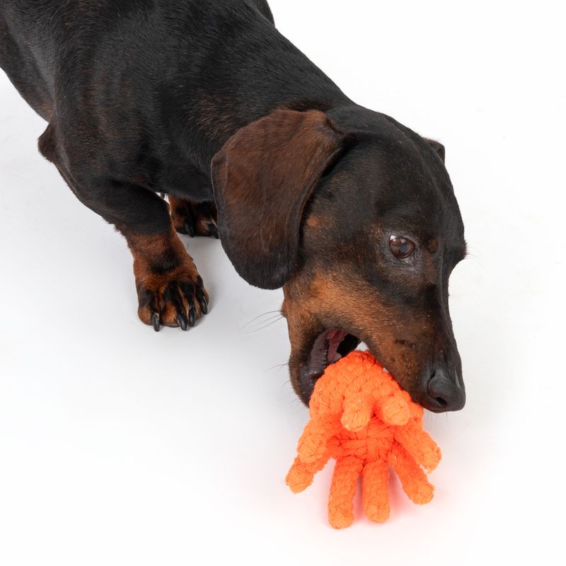 TIAKI Dog Toy Octopus approx. Ø 12 x H 7 cm