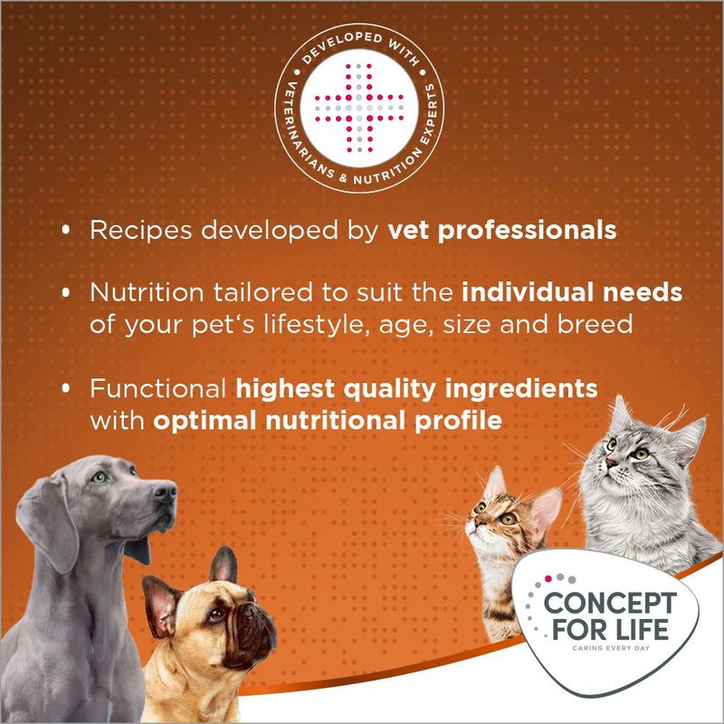 Concept for Life Outdoor Cats 400g