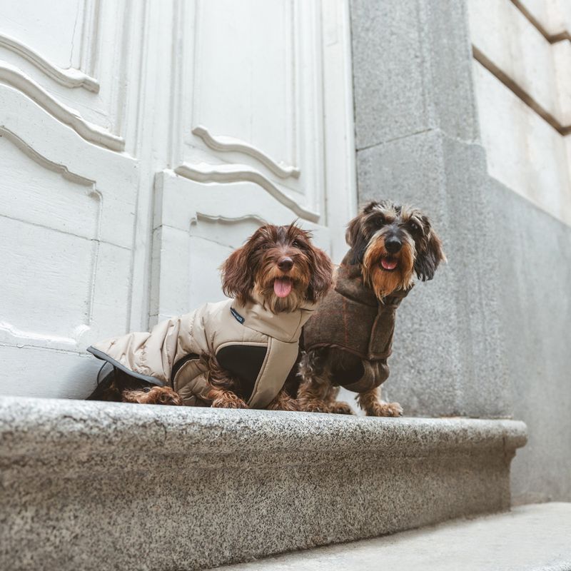 Nomad Tales Bloom Dog Coat - Quilted Comfort approx. 45cm Back Length