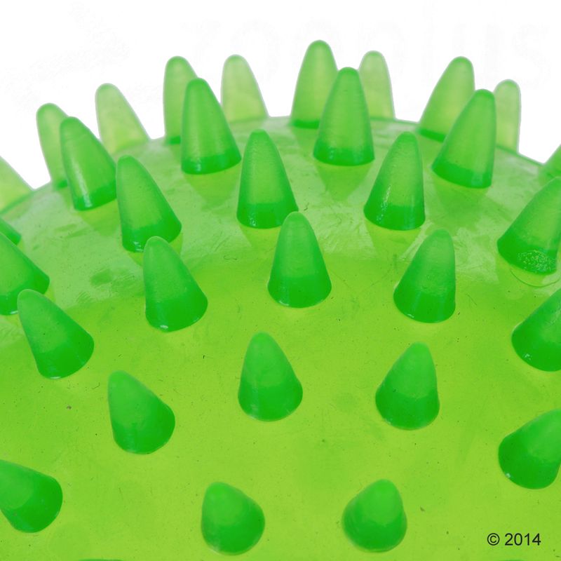 Large Spiky Ball Dog Toy Diameter 12cm