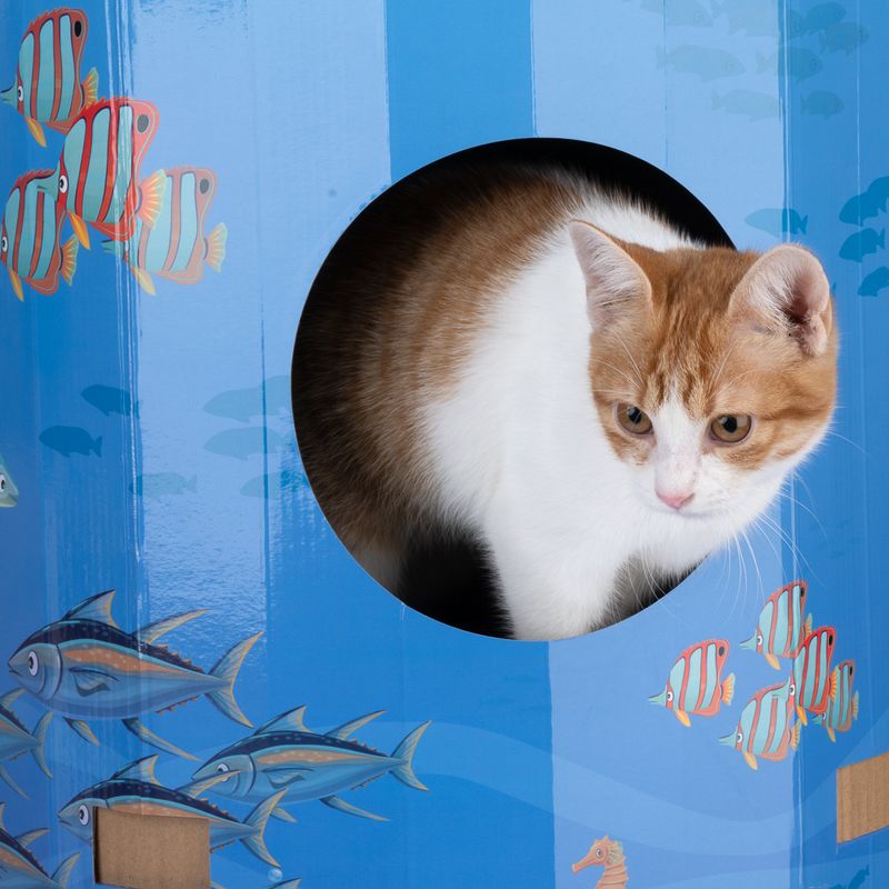 TIAKI Ocean Scratching Barrel Blue