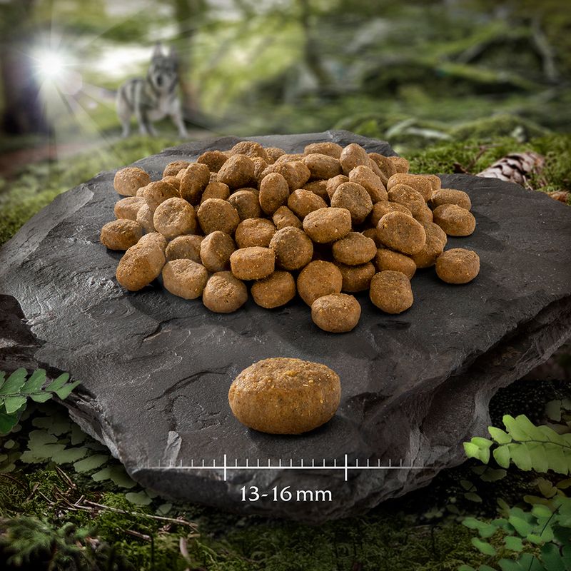 Wolf of Wilderness Adult \