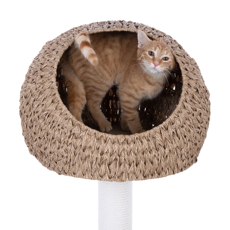 Modern Living Outdoor Byron Bay Scratching Post - Medium 60 x 62 x 127 cm (L x W x H)