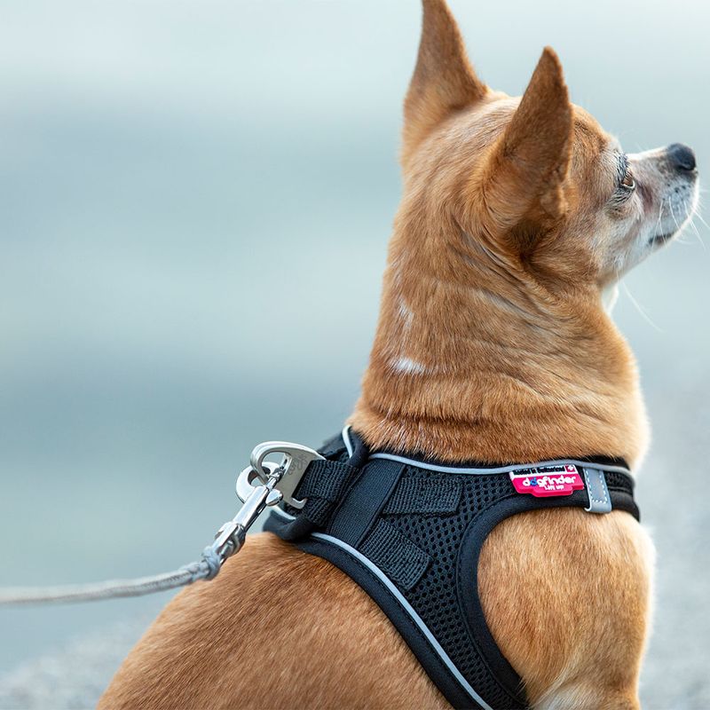 Curli ultra strong pocket leash Size S: 110 cm long